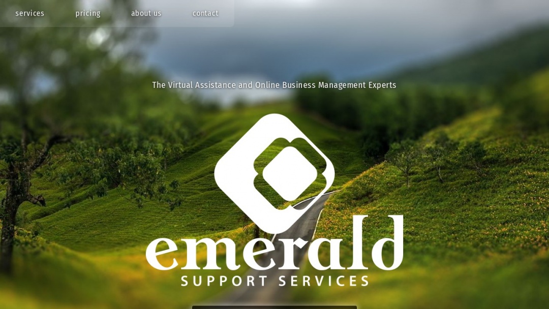 Screenshot of Emerald Support Services's Website