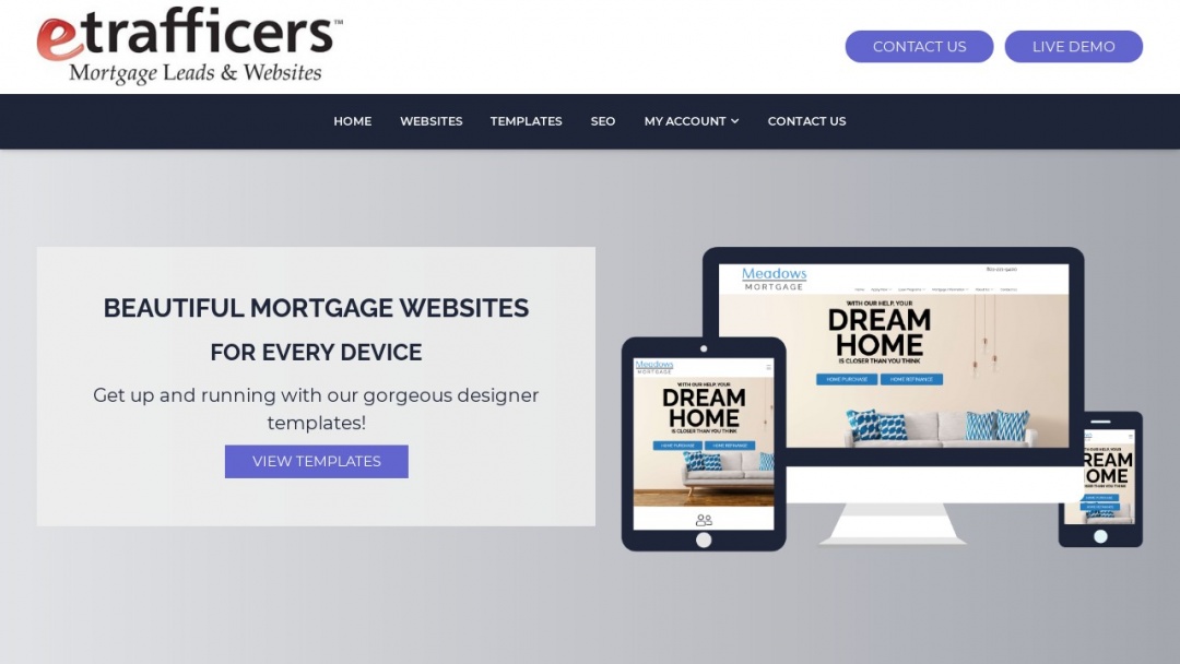 Screenshot of Etrafficers's Website