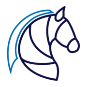 Horses Developer - Award Winning Agency in Cercado de Lima