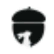 Nuttsbunny Productions - Award Winning Agency in Jaipur