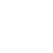 Never Settle - Award Winning Agency in Denver