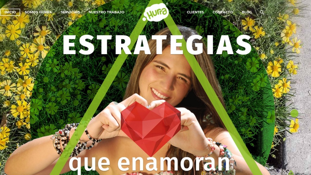 Screenshot of HURRA's Website