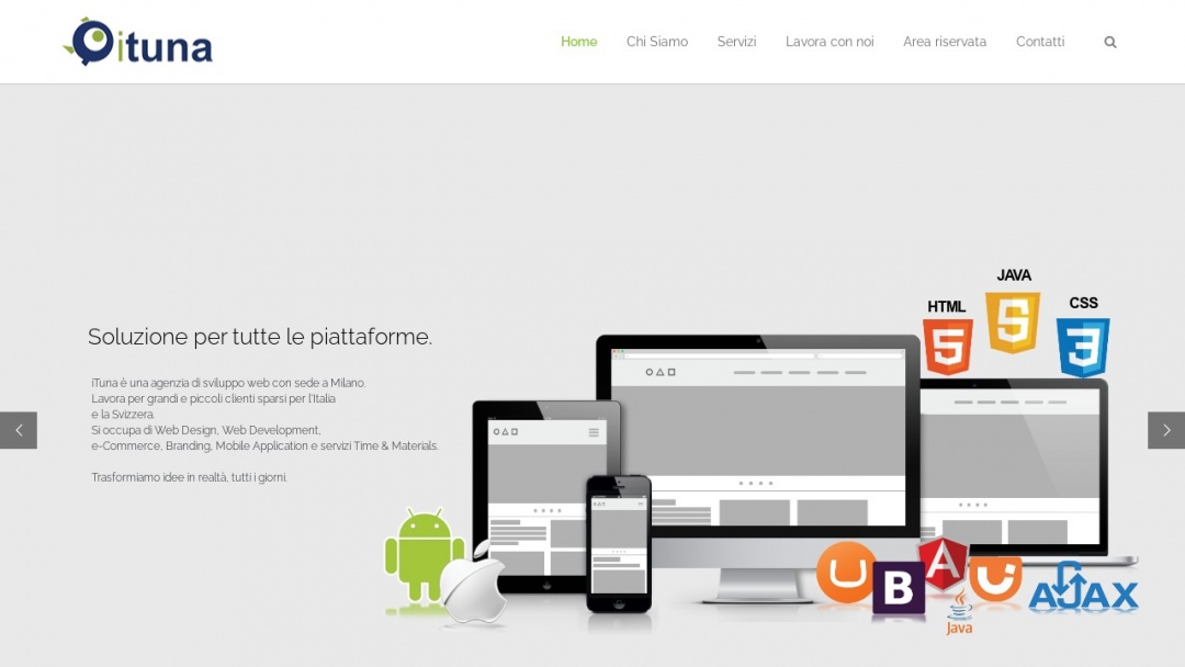 Screenshot of ITuna's Website