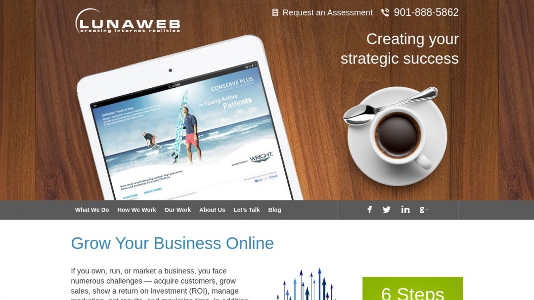 Screenshot of LunaWeb's Website