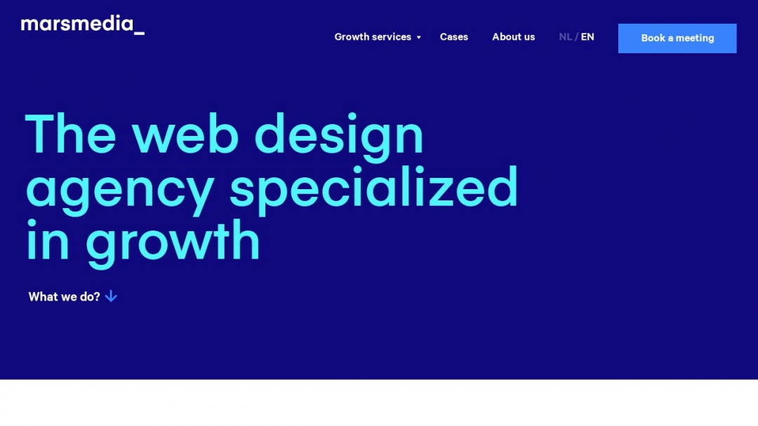 Screenshot of Marsmedia's Website