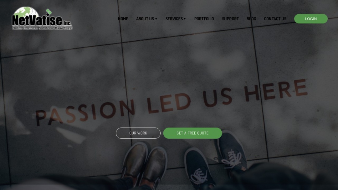 Screenshot of Netvatise's Website