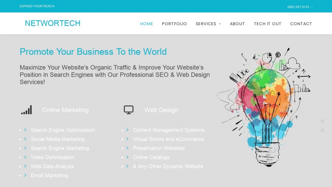 Screenshot of Networtech's Website