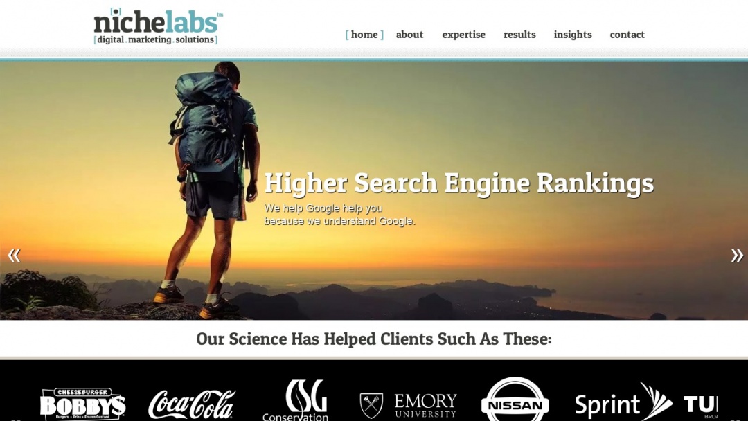 Screenshot of NicheLabs's Website