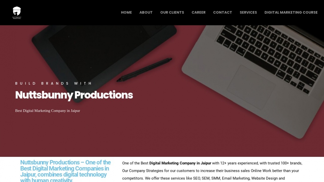 Screenshot of Nuttsbunny Productions's Website