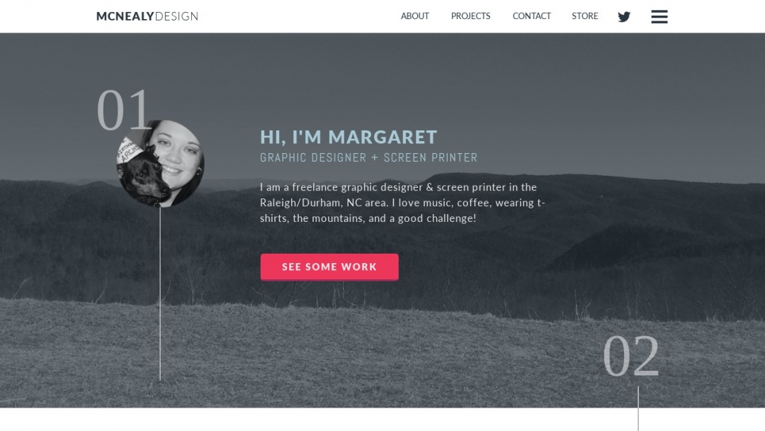 Screenshot of nvisionative, Inc.'s Website