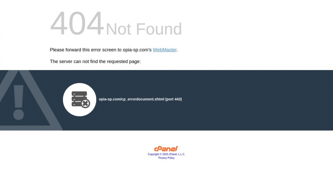 Screenshot of Opia Limited's Website