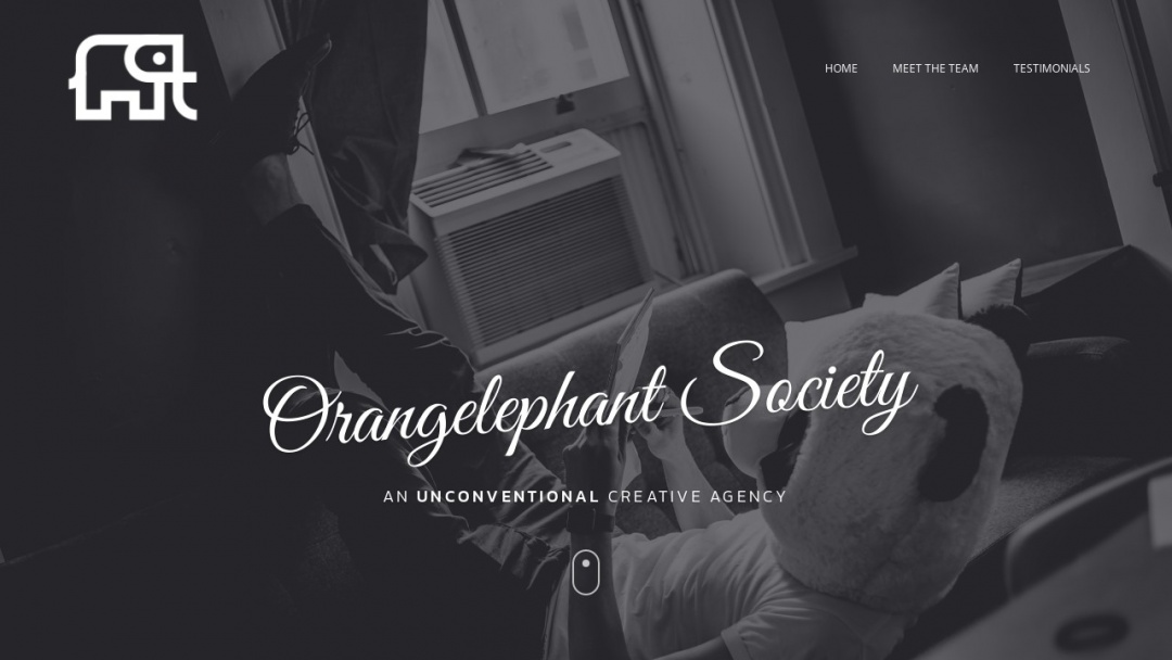 Screenshot of Orangelephant Society LLC's Website
