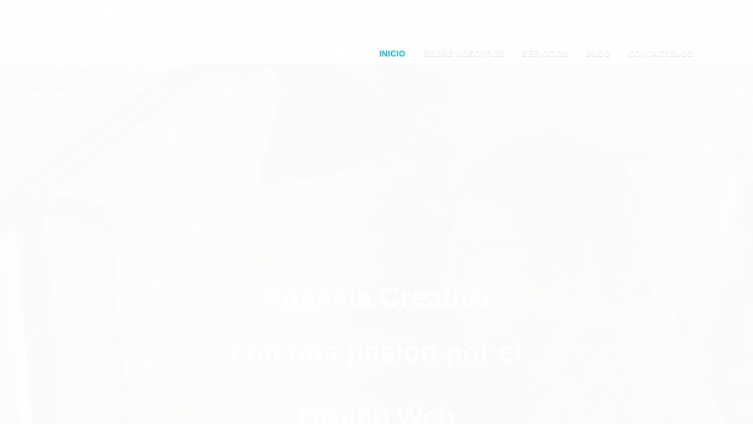 Screenshot of Pericon Solutions's Website