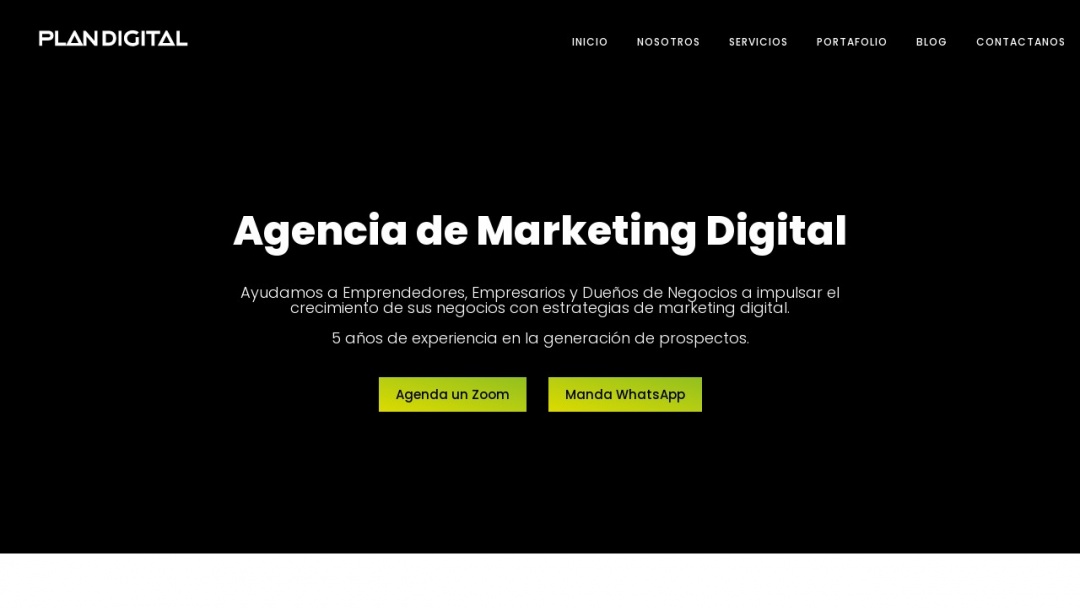Screenshot of Plan Digital Mx's Website