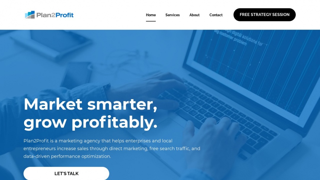 Screenshot of Plan2Profit Marketing's Website