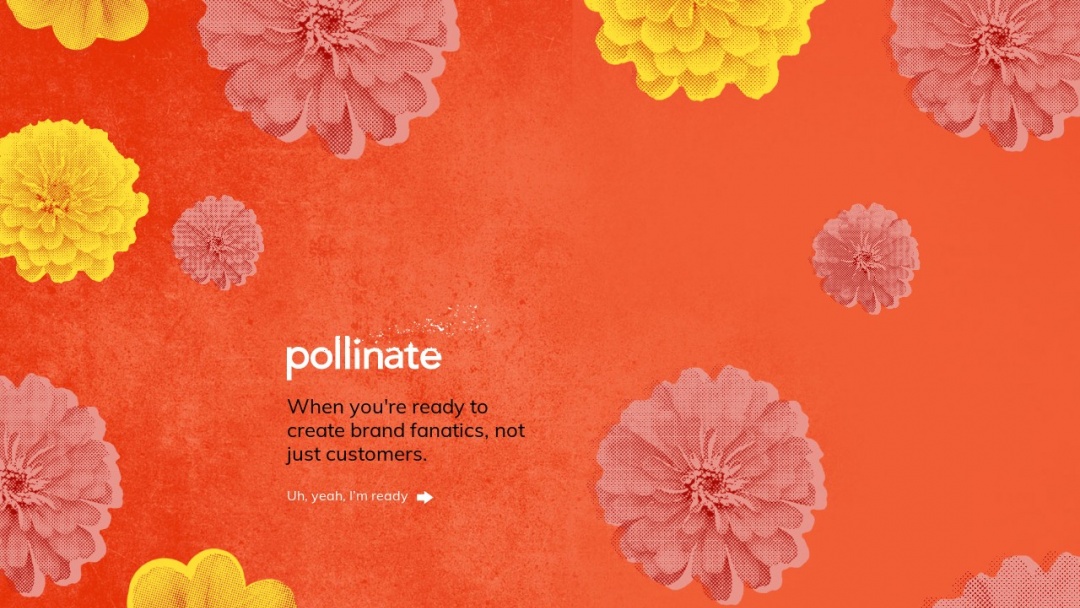 Screenshot of Pollinate's Website
