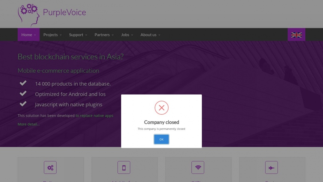 Screenshot of Purple Voice's Website