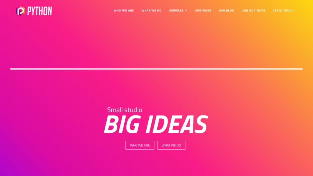 Screenshot of Python Digital Agency's Website