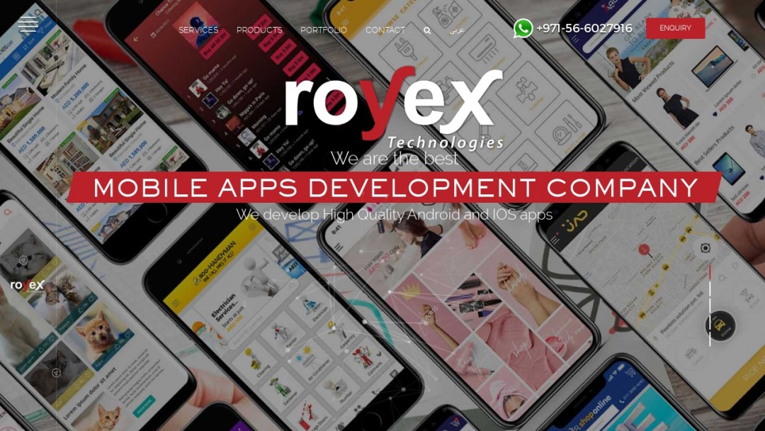 Screenshot of Royex Technologies's Website