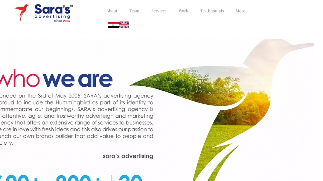 Screenshot of Sara Advertising's Website