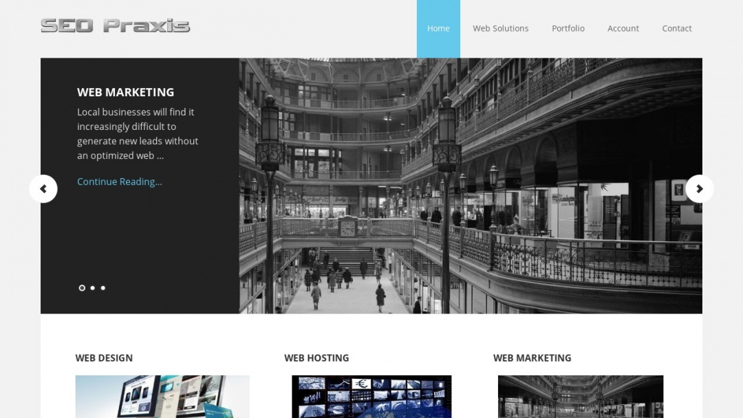 Screenshot of SEO Praxis's Website