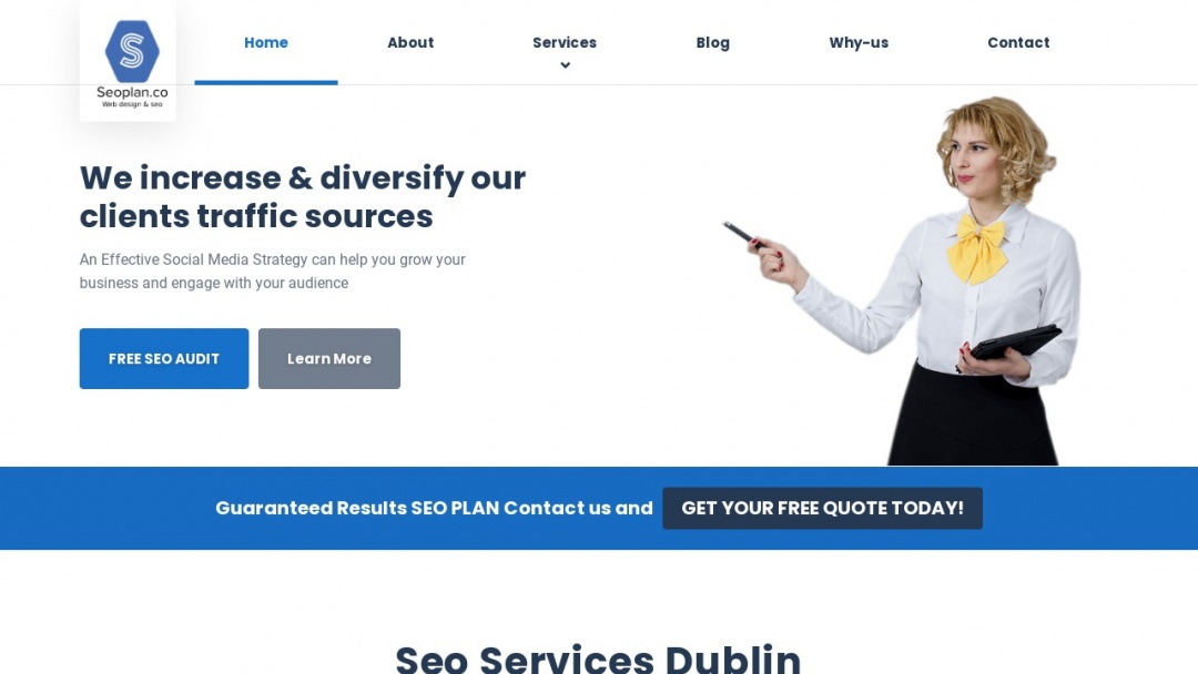 Screenshot of seoplan.co's Website