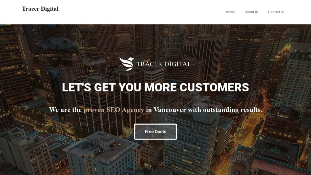 Screenshot of Tracer Digital's Website