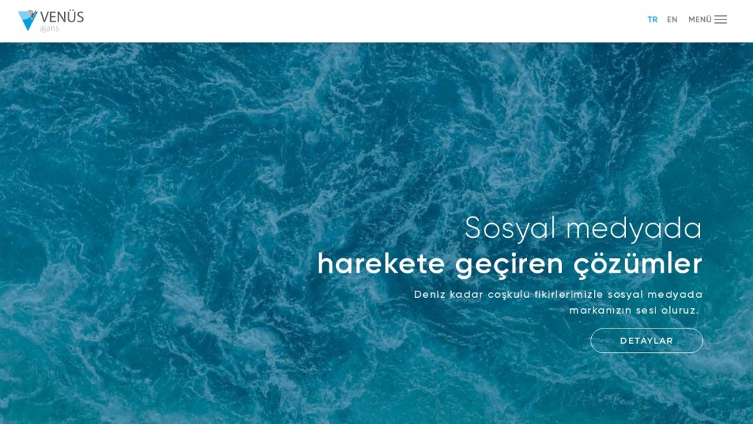 Screenshot of Venüs Ajans's Website