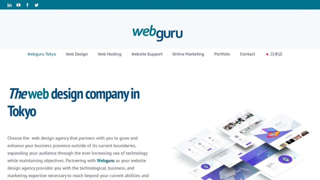 Screenshot of Webguru's Website