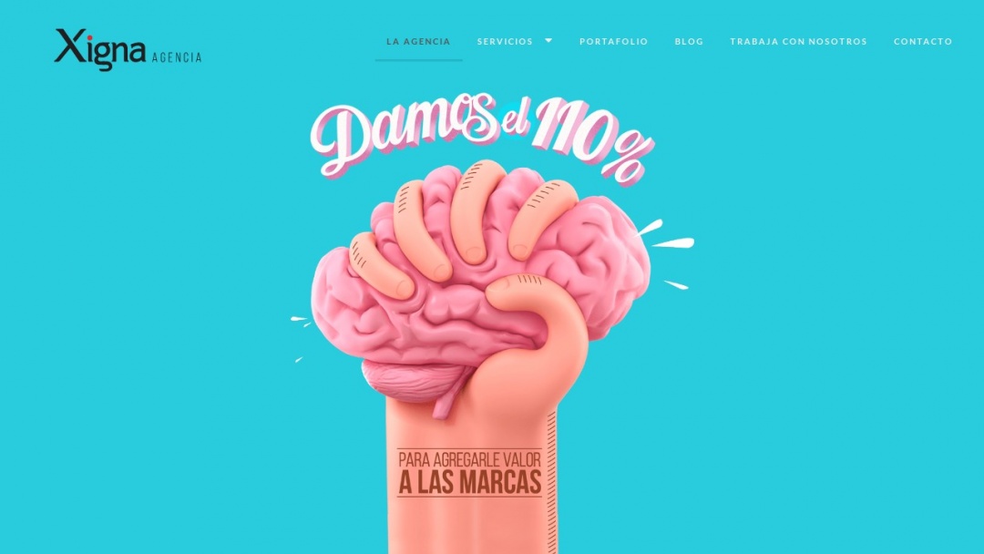 Screenshot of Xigna's Website