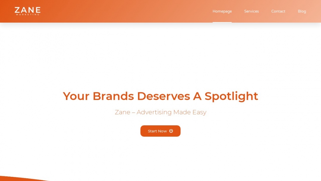 Screenshot of Zane's Website