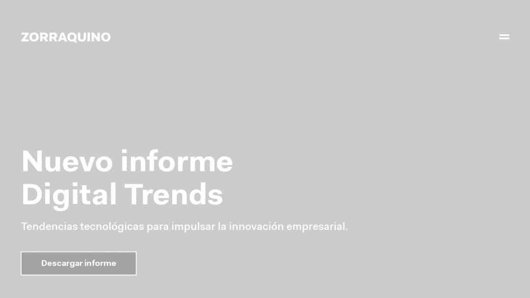 Screenshot of Zorraquino's Website