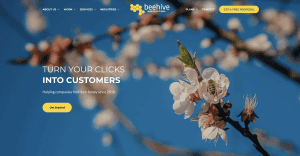 Beehive Web Solutions - Award Winning Agency in San Diego