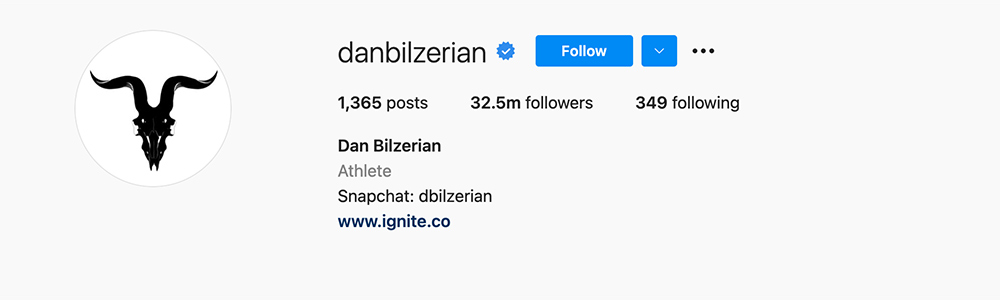 Social Media Influencers