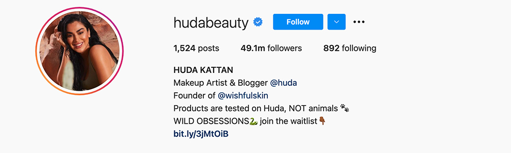 Social Media Influencers