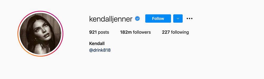 Social Media Influencers