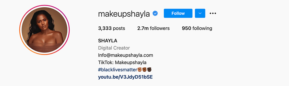 Social Media Influencers