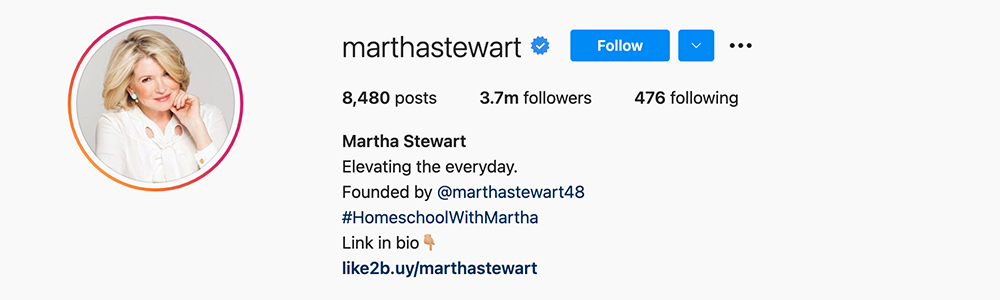 Social Media Influencers