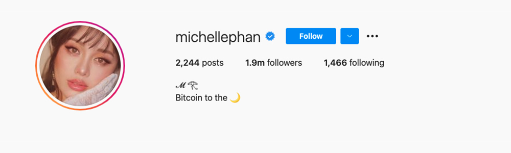 Social Media Influencers