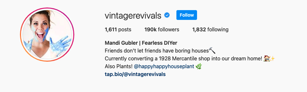 Social Media Influencers