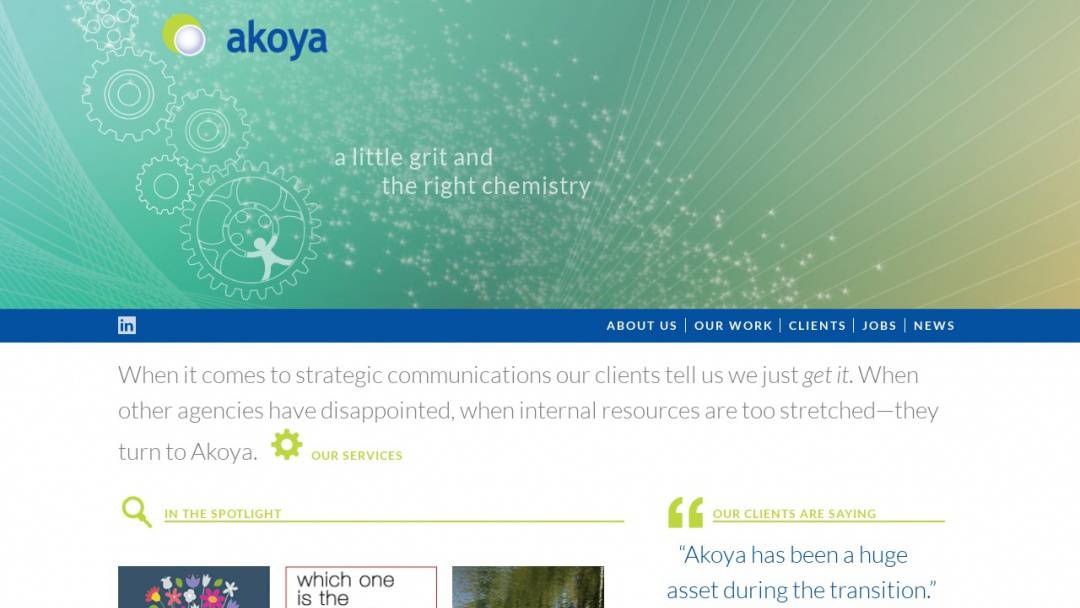 Screenshot of Akoya Online's Website