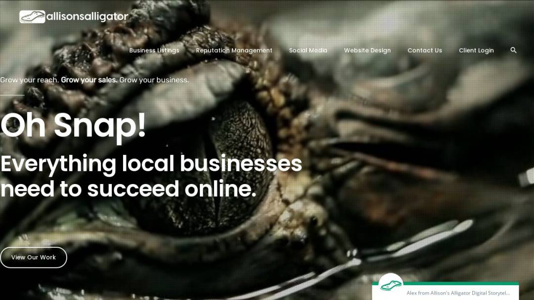 Screenshot of Allison's Alligator Digital Storytellers's Website