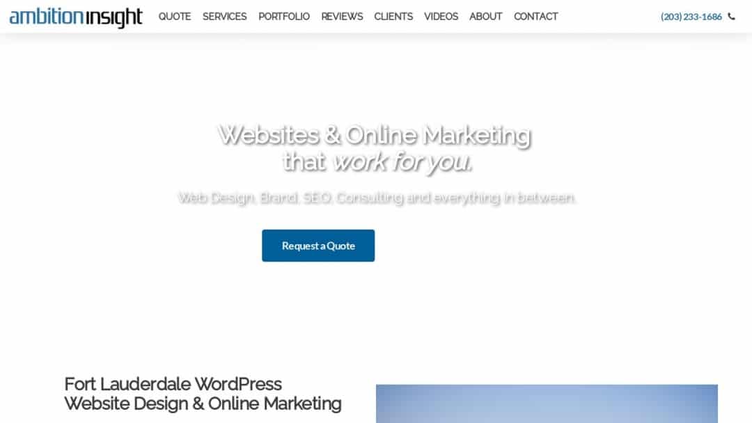 Screenshot of Ambition Insight's Website