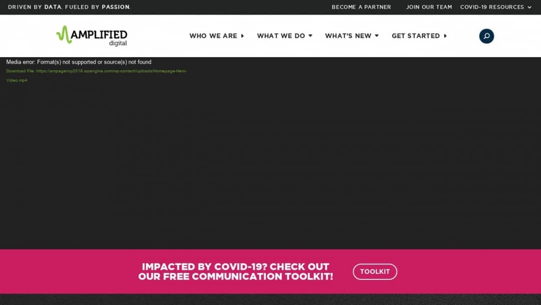 Screenshot of Amplified Digital Agency's Website