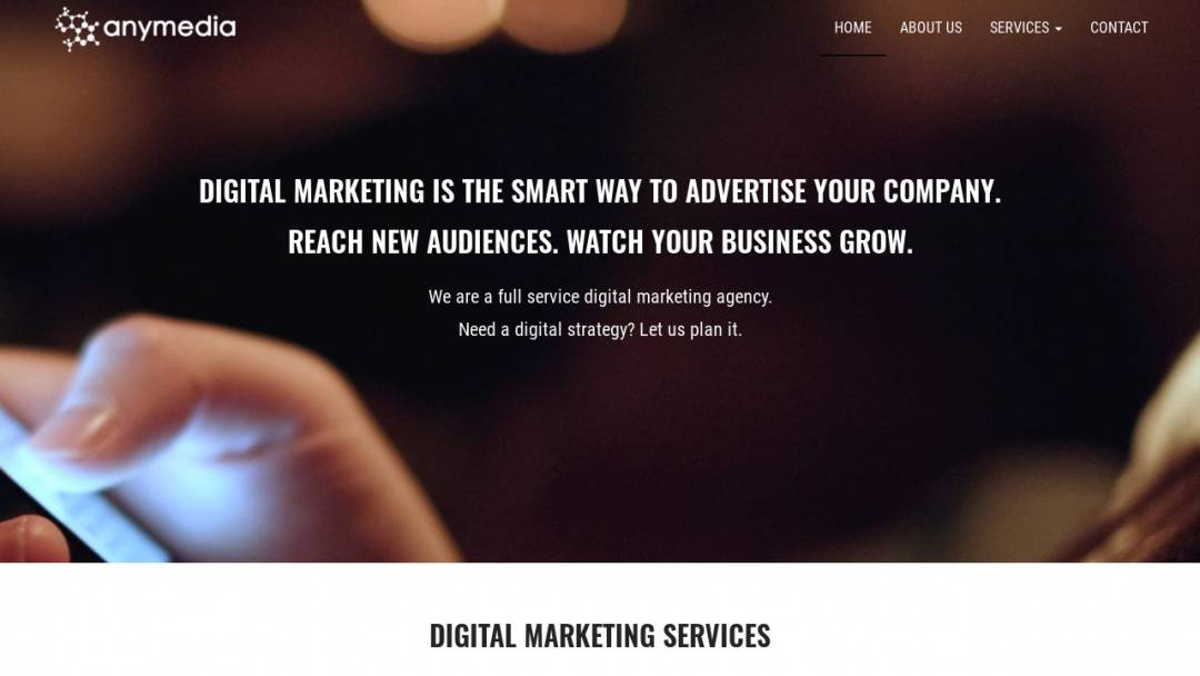 Screenshot of anymedia agency's Website