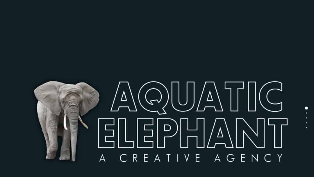 Screenshot of Aquatic Elephant Marketing's Website