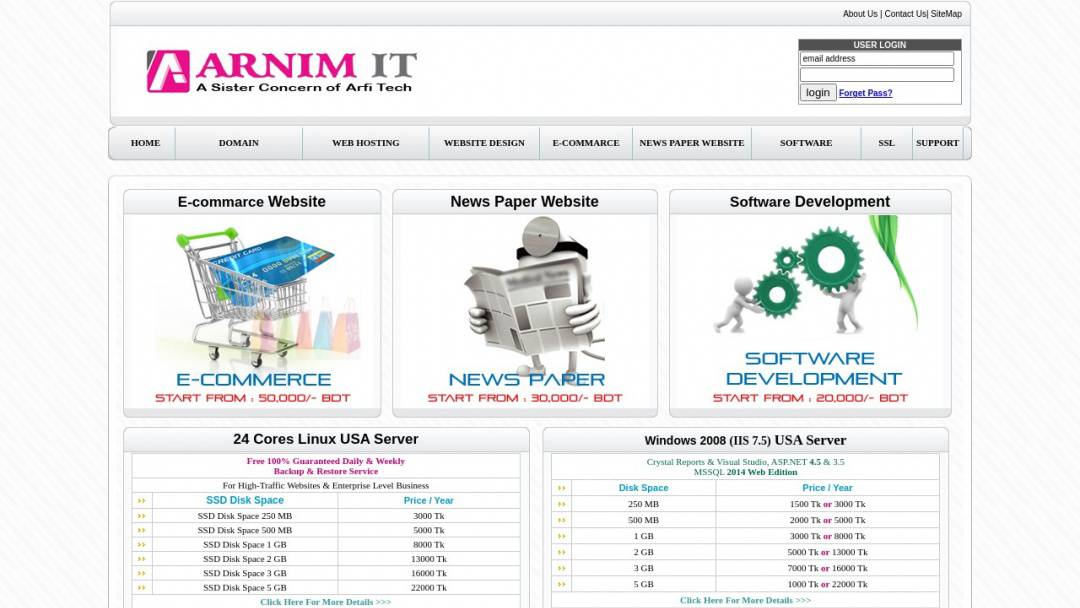 Screenshot of Arnim IT's Website