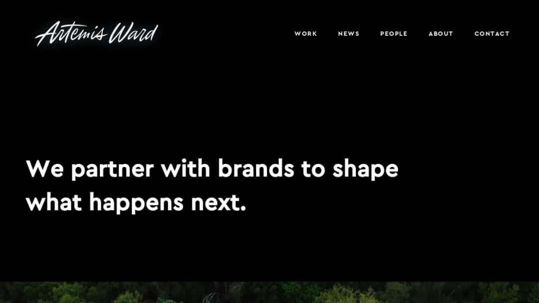 Screenshot of Artemis Ward's Website