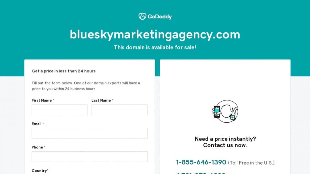 Screenshot of Big Blue Sky Marketing Agency's Website