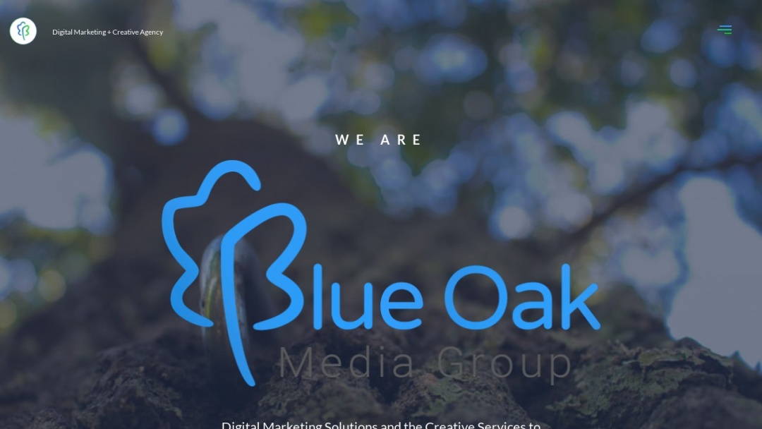 Screenshot of Blue Oak Media Group's Website